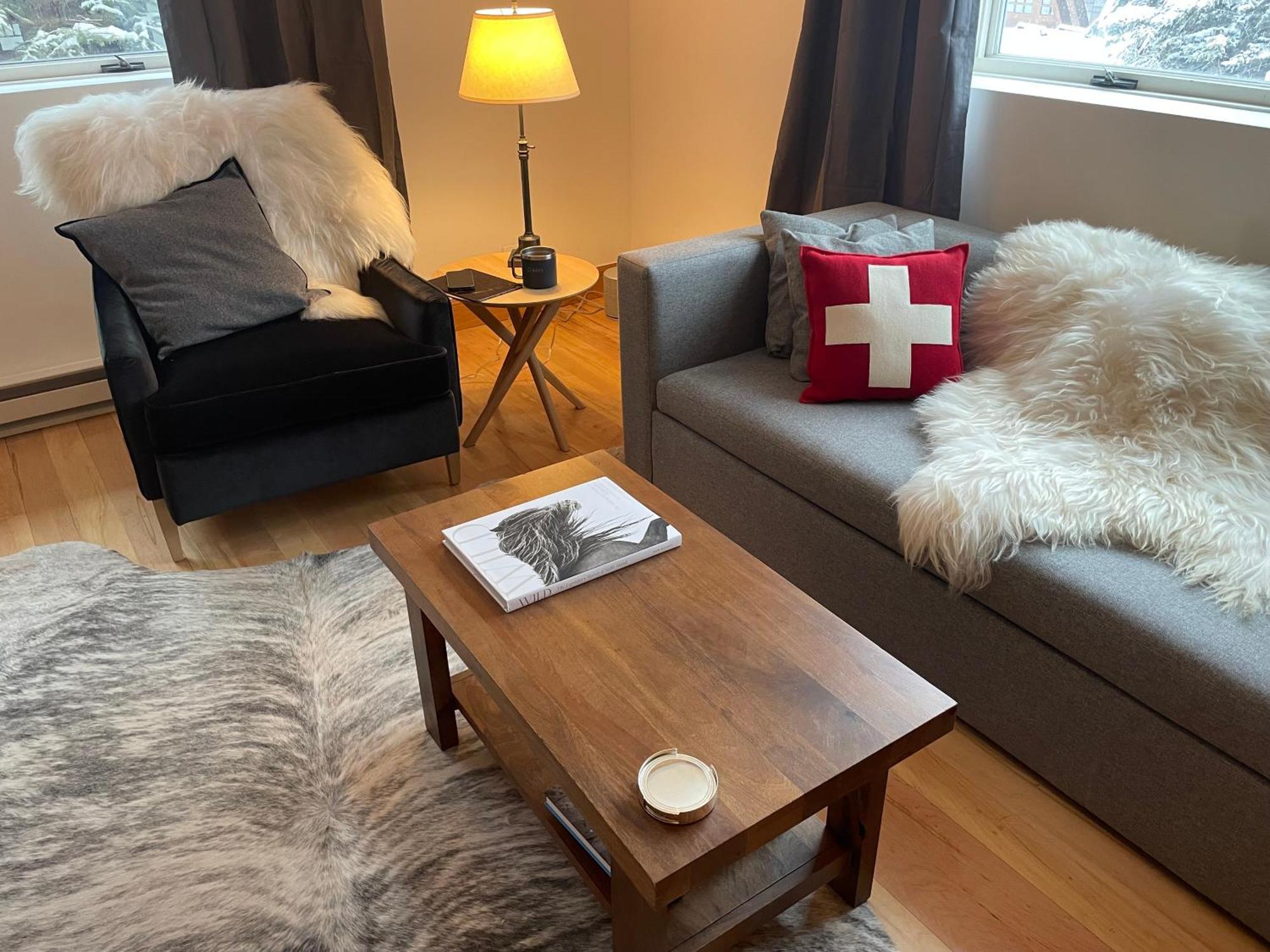 Chic 2br Queen Sleeper Sofa * Aspen